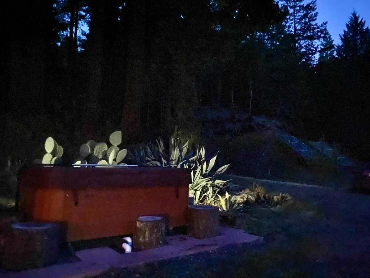 ホテル Glamping In The Redwoods With A Hot Tub! ガーバービル エクステリア 写真
