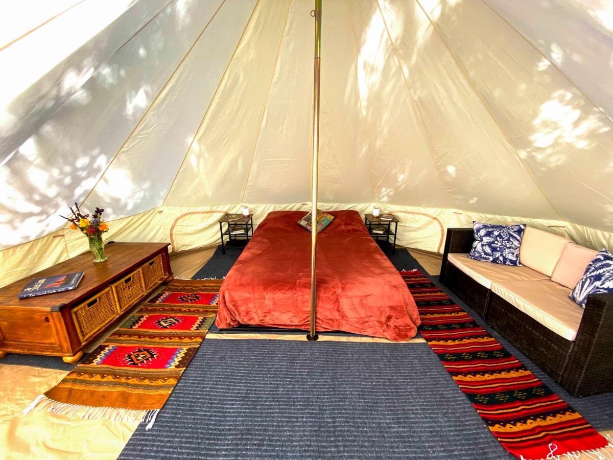ホテル Glamping In The Redwoods With A Hot Tub! ガーバービル エクステリア 写真