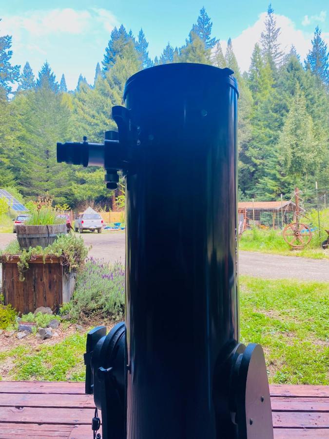 ホテル Glamping In The Redwoods With A Hot Tub! ガーバービル エクステリア 写真
