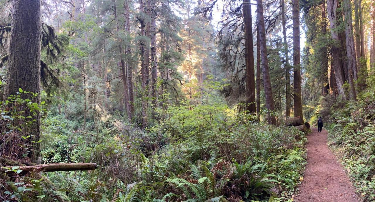 ホテル Glamping In The Redwoods With A Hot Tub! ガーバービル エクステリア 写真
