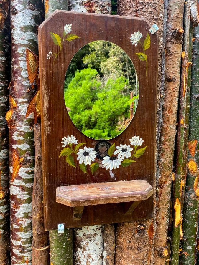 ホテル Glamping In The Redwoods With A Hot Tub! ガーバービル エクステリア 写真
